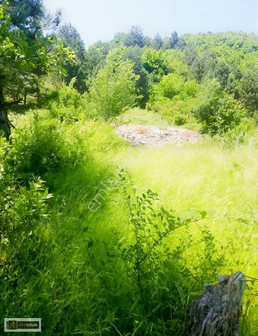 Kastamonu-cide İlyasbey Köyünde Yatıımlık Satılık Parsel - Görsel 2