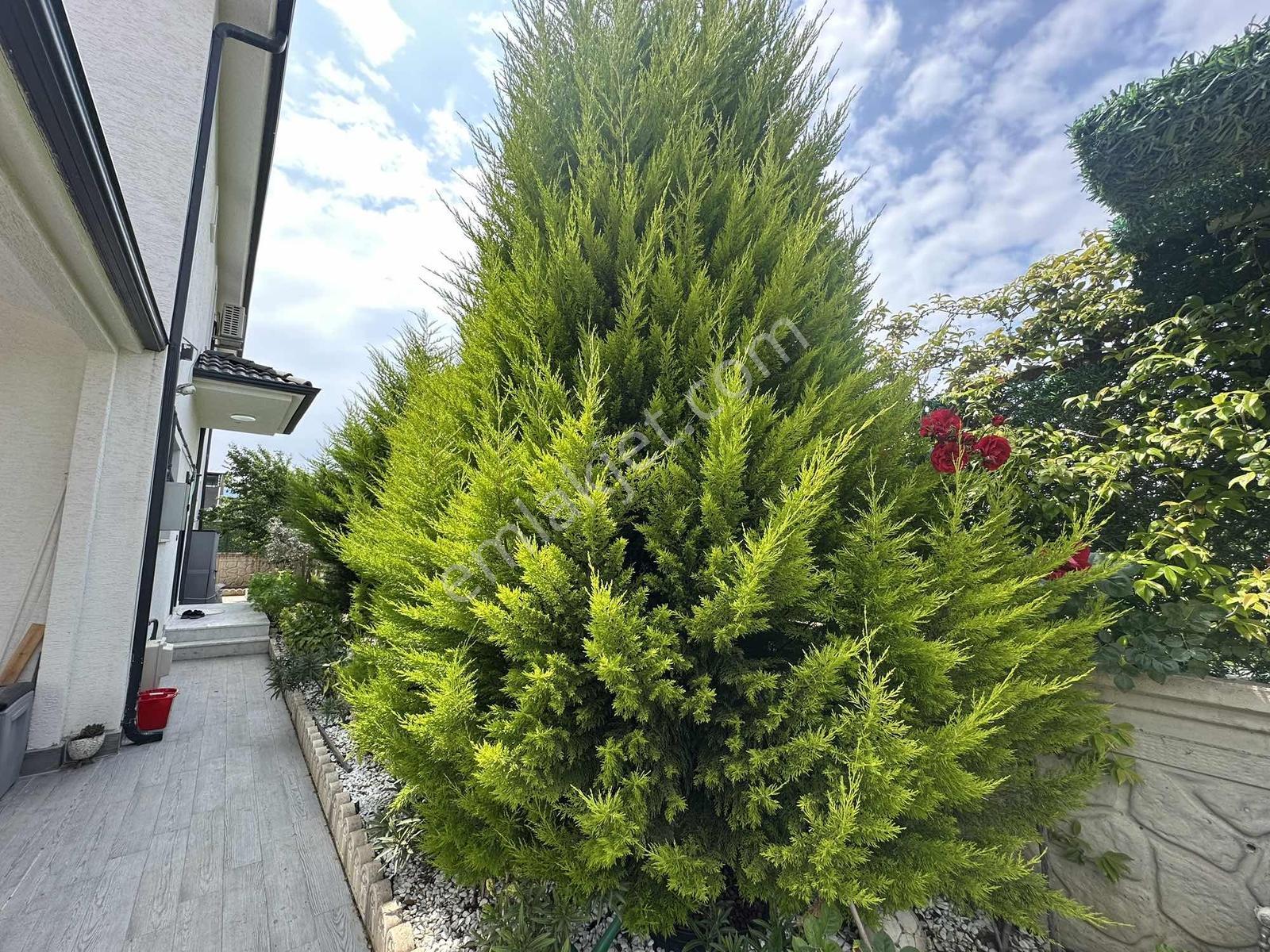 Best Everdan Kurşunluda Müstakil Havuzlu 5+1 Satılık Lüks Villa - Görsel 32