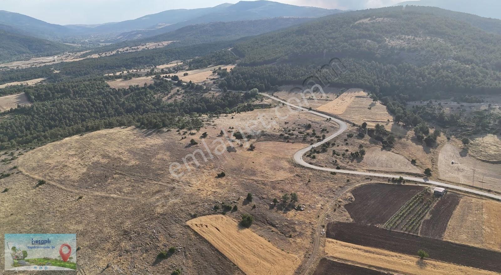 Doğanhisar / Kemer Mahallesinde 24.535 M² Müstakil Tapulu Tarla - Görsel 19