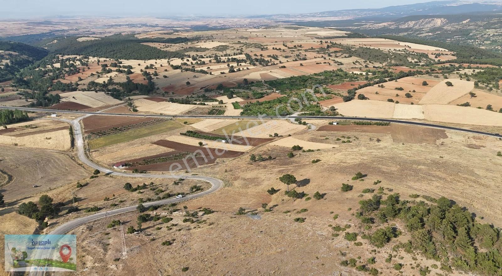 Doğanhisar / Kemer Mahallesinde 24.535 M² Müstakil Tapulu Tarla - Görsel 2