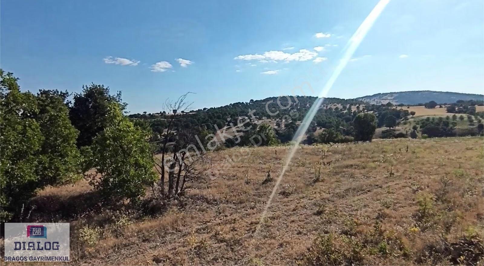 Kütahya Şaphanede 14505 M2 Kadastral Yolu Olan Yerlesıme Yakın - Görsel 11