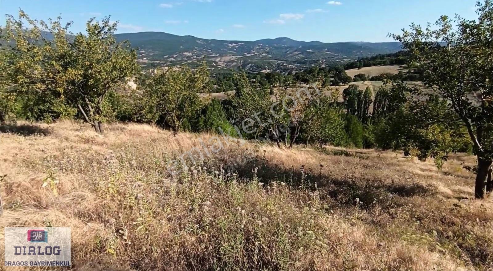 Kütahya Şaphanede 14505 M2 Kadastral Yolu Olan Yerlesıme Yakın - Görsel 4