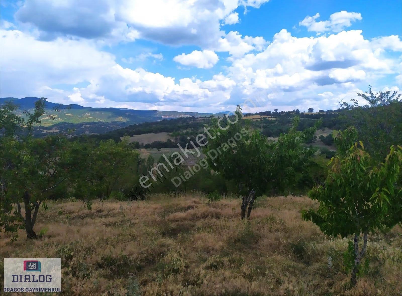 Kütahya Şaphanede 14505 M2 Kadastral Yolu Olan Yerlesıme Yakın - Görsel 17