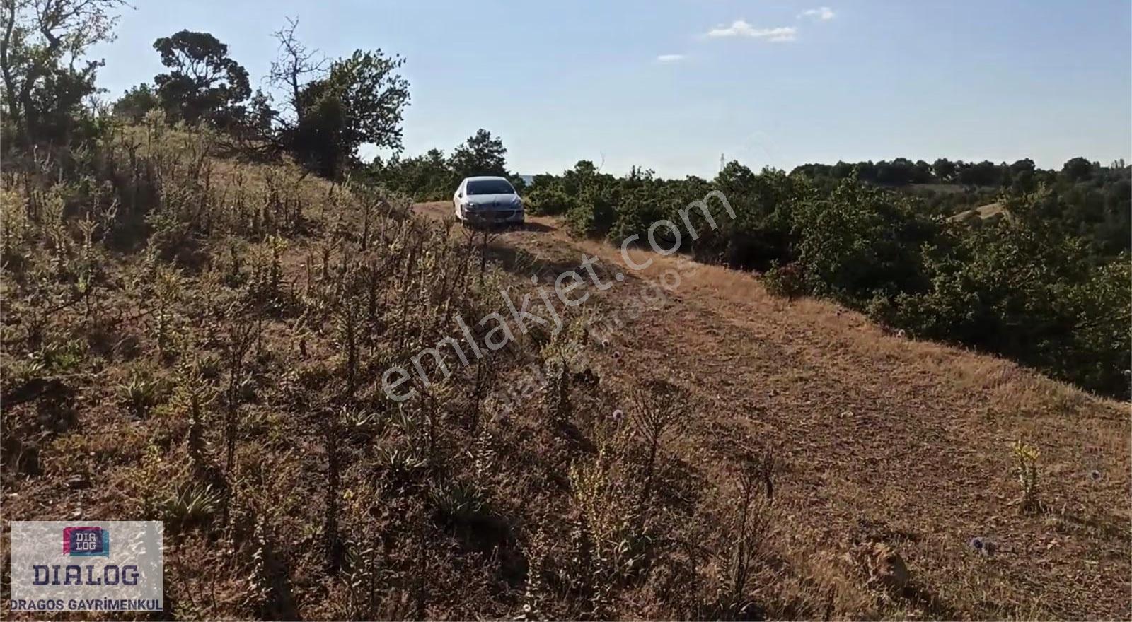 Kütahya Şaphanede 14505 M2 Kadastral Yolu Olan Yerlesıme Yakın - Görsel 13