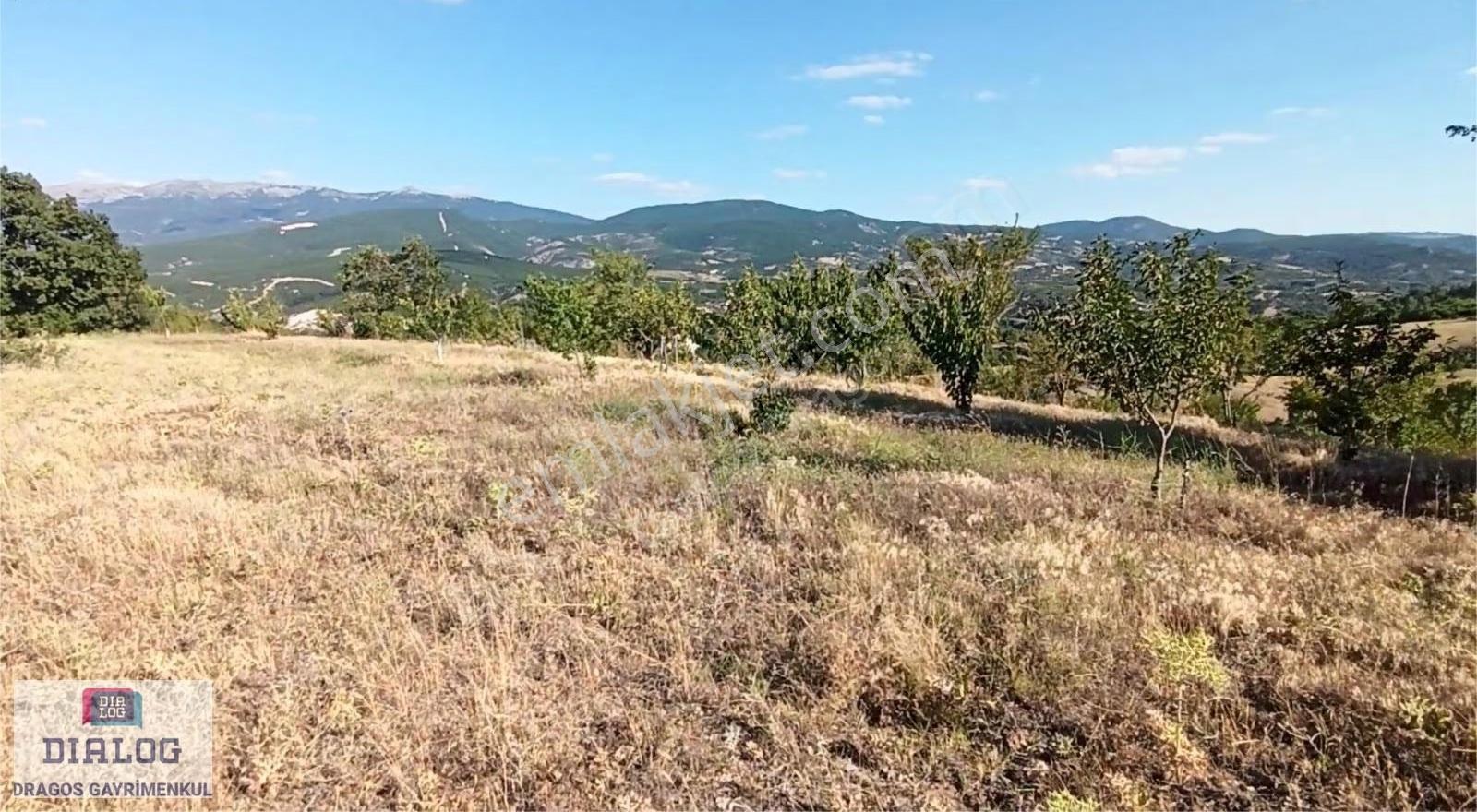 Kütahya Şaphanede 14505 M2 Kadastral Yolu Olan Yerlesıme Yakın - Görsel 12