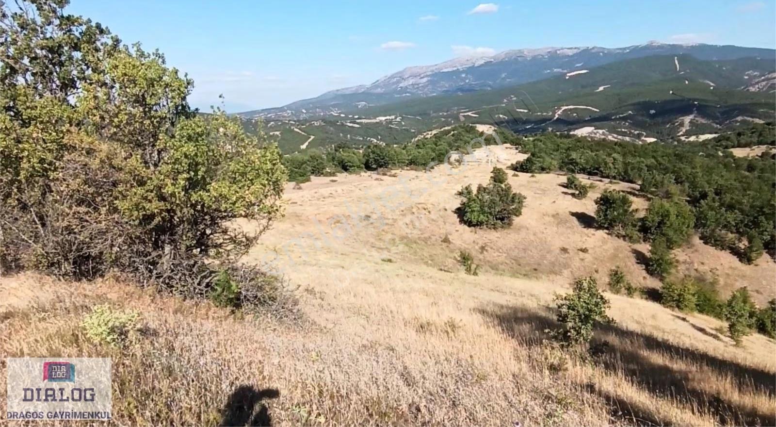 Kütahya Şaphanede 14505 M2 Kadastral Yolu Olan Yerlesıme Yakın - Görsel 7