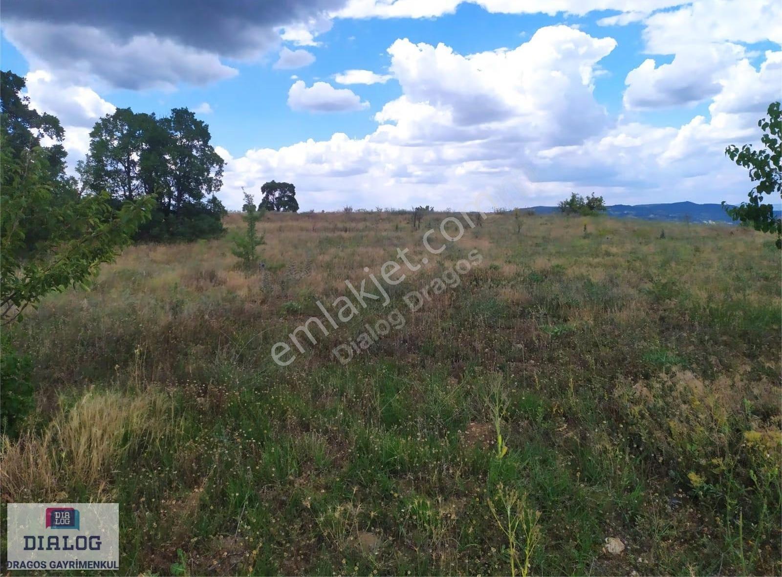 Kütahya Şaphanede 14505 M2 Kadastral Yolu Olan Yerlesıme Yakın - Görsel 3