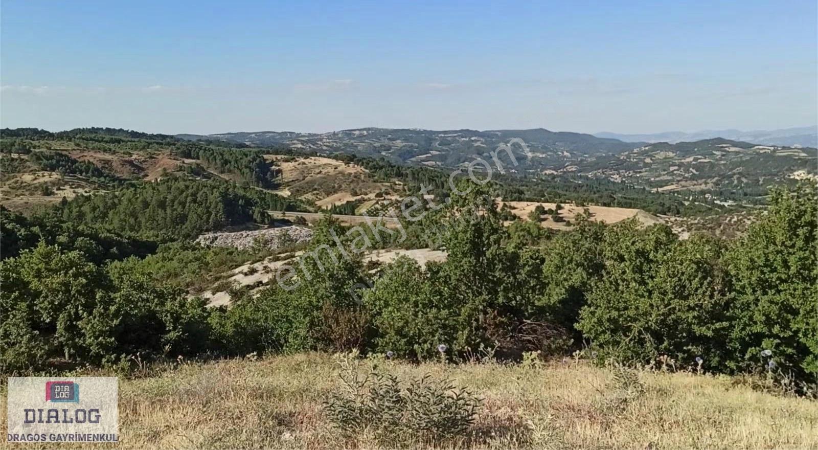 Kütahya Şaphanede 14505 M2 Kadastral Yolu Olan Yerlesıme Yakın - Görsel 6
