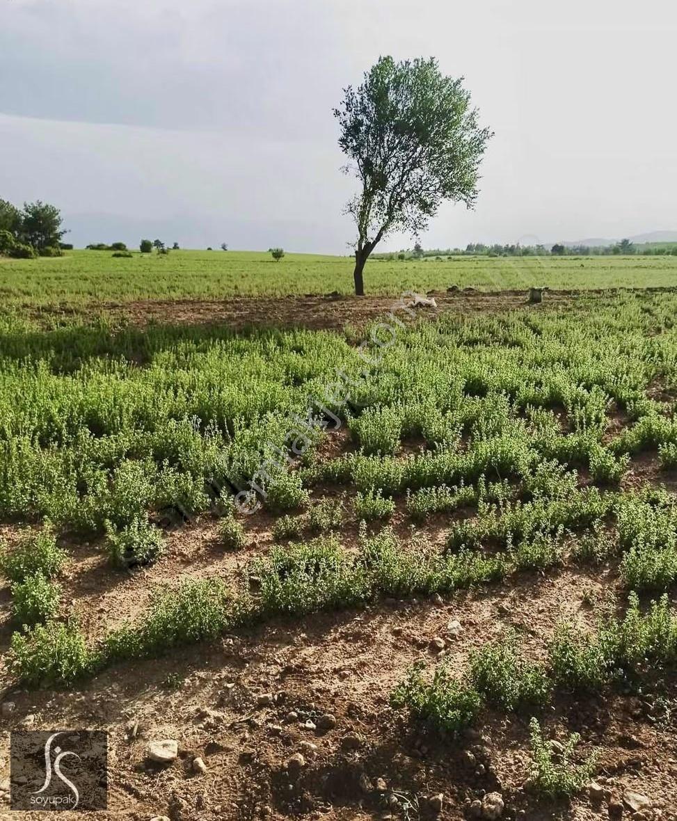 Denizli Acıpayam Akalan 1166 Ada 10 Par 2.072m2 Tarla - Görsel 7