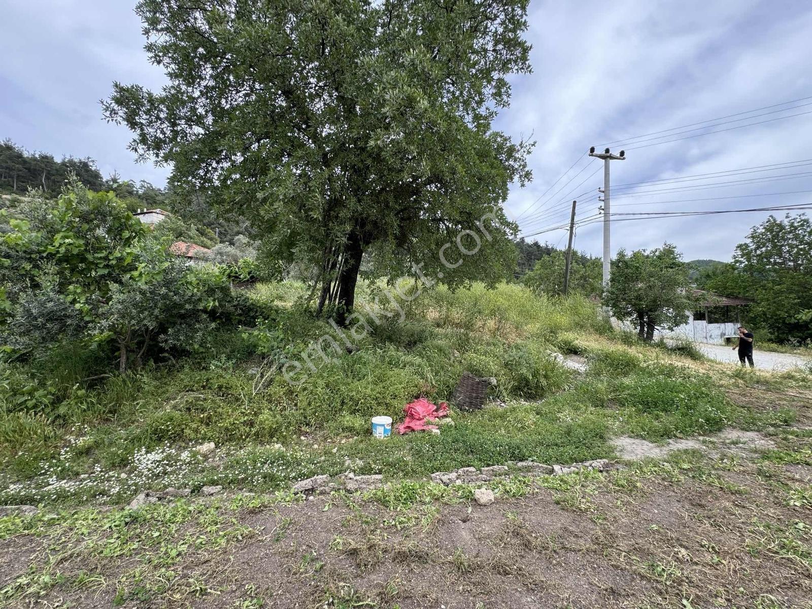 Muğla Menteşe Çamoluk Mahallesinde İmarlı Köy İçi 363 M2 - Görsel 23