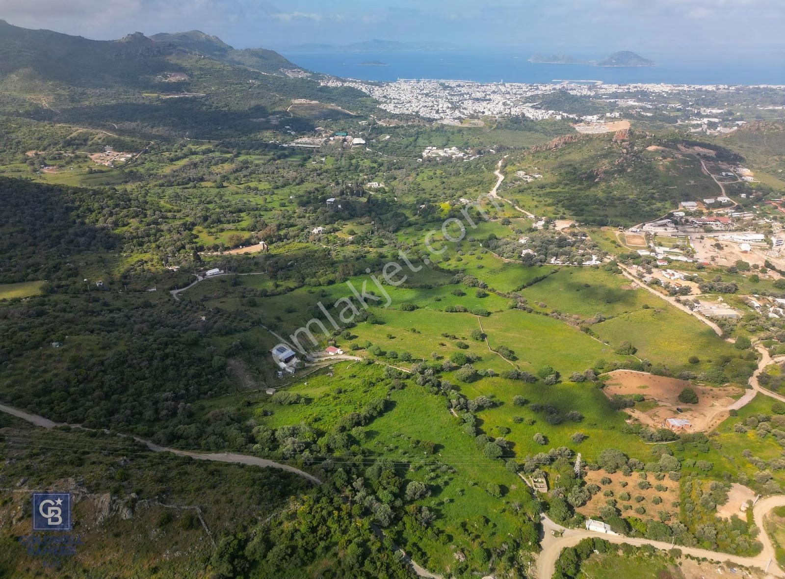 Bodrum Turgutreis Satılık İmar Sınırında Deniz Manzaralı Tarla - Görsel 5