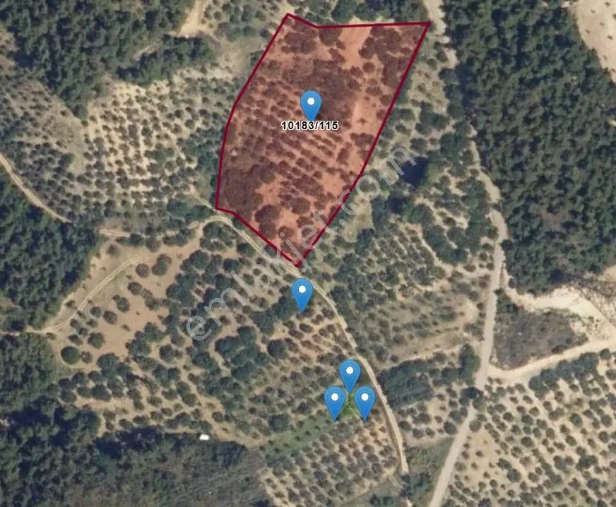 Remax Area'dan Gündoğdu'da Yatırımlık 1.156 M2 Bağ & Bahçe - Görsel 2