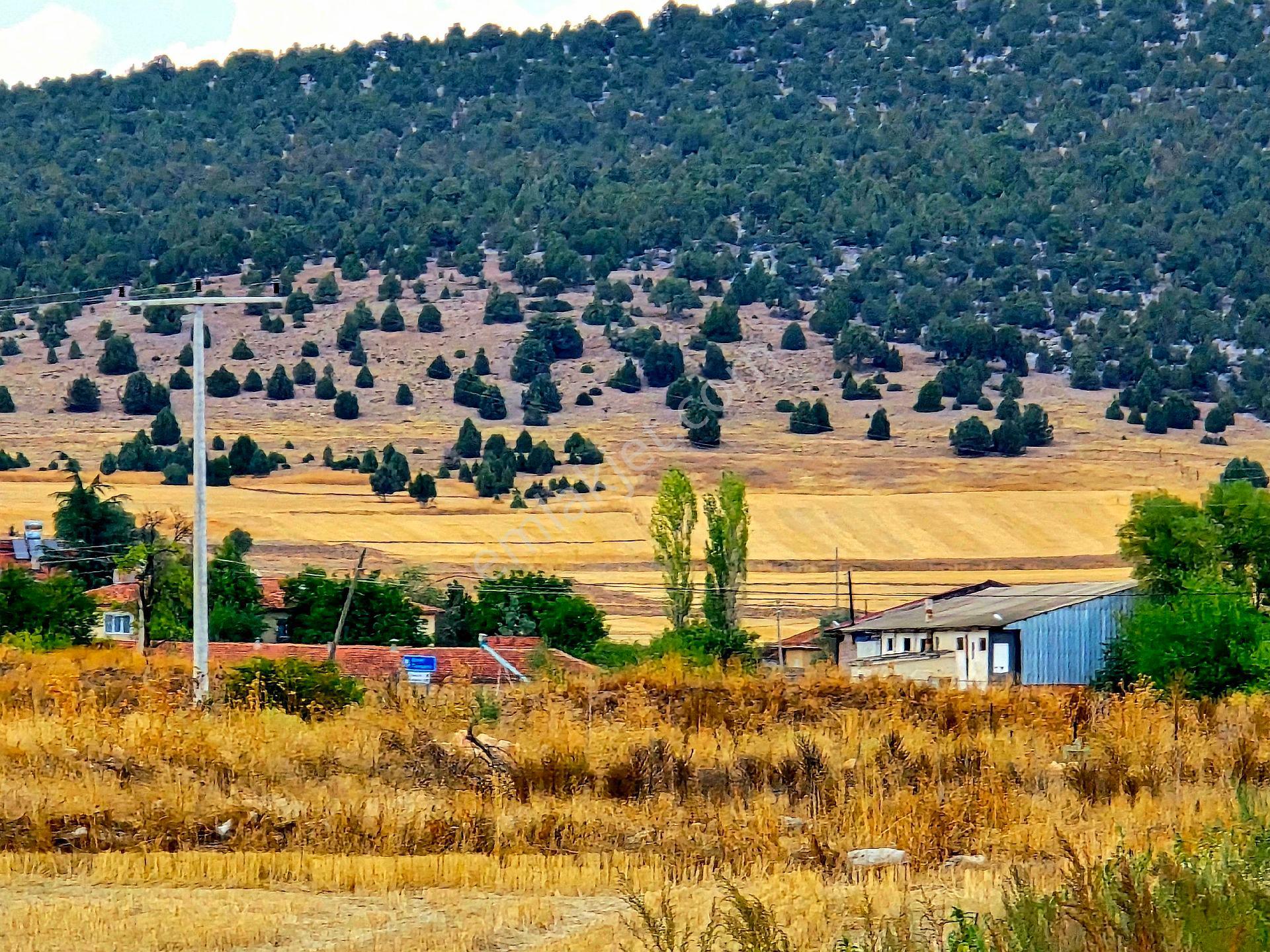 Kütahya Emet Örencik'te Köy Otoyol Elk Su Çay Yanı 1463 M² Bakımlı Tarla. Açıklamada - Görsel 24