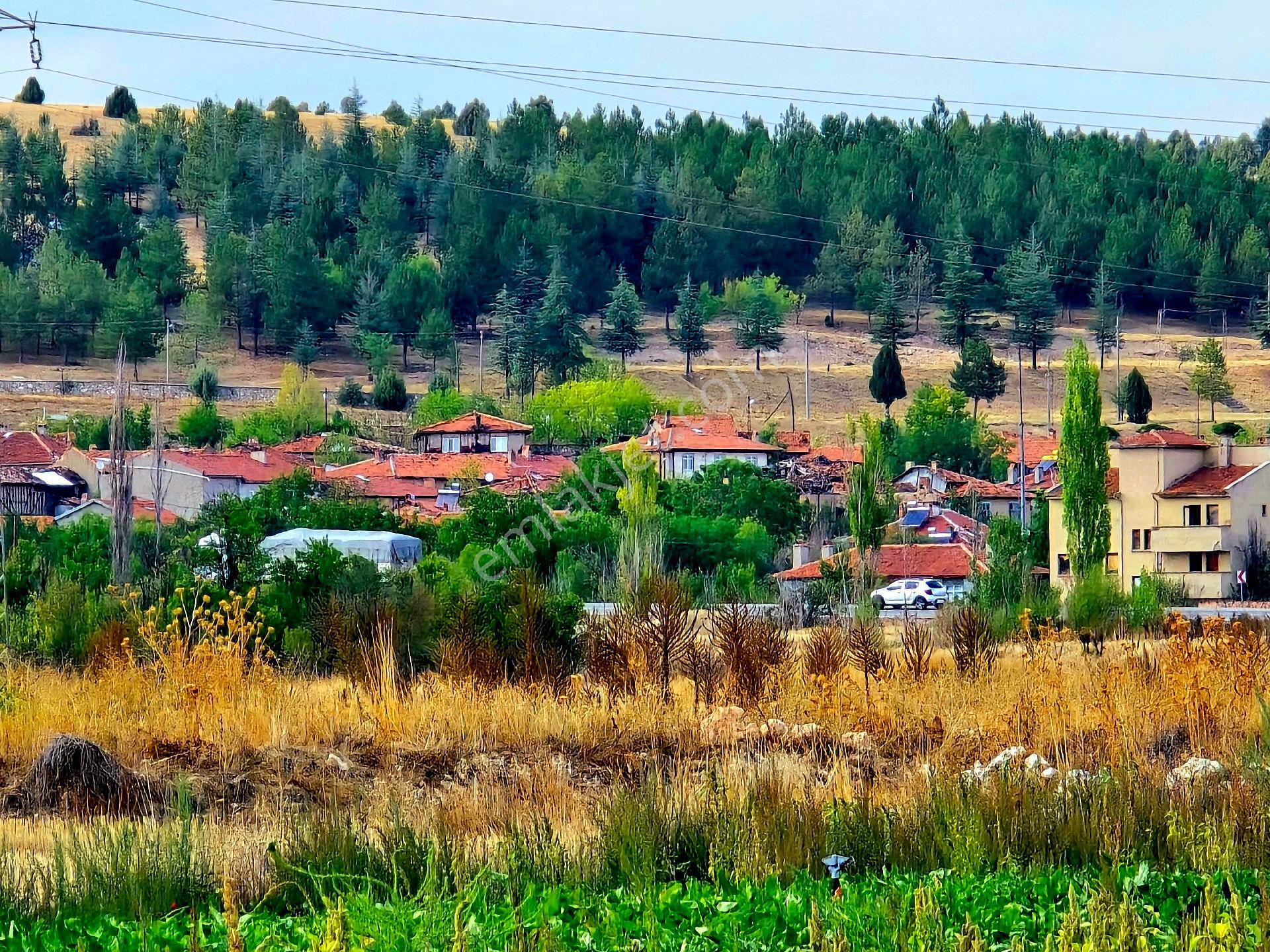 Kütahya Emet Örencik'te Köy Otoyol Elk Su Çay Yanı 1463 M² Bakımlı Tarla. Açıklamada