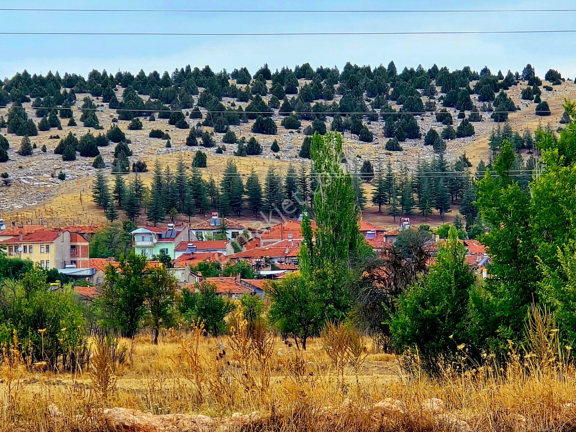 Kütahya Emet Örencik'te Köy Otoyol Elk Su Çay Yanı 1463 M² Bakımlı Tarla. Açıklamada - Görsel 25