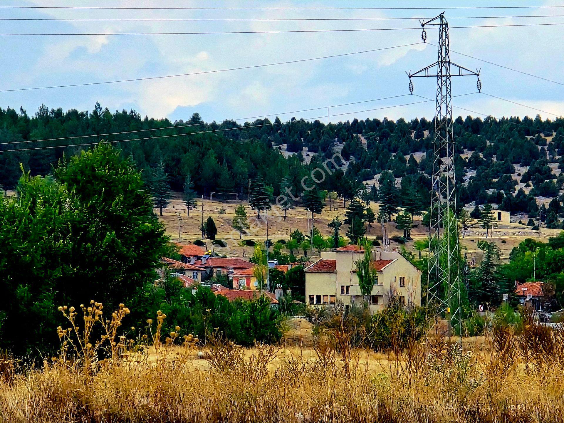 Kütahya Emet Örencik'te Köy Otoyol Elk Su Çay Yanı 1463 M² Bakımlı Tarla. Açıklamada - Görsel 26