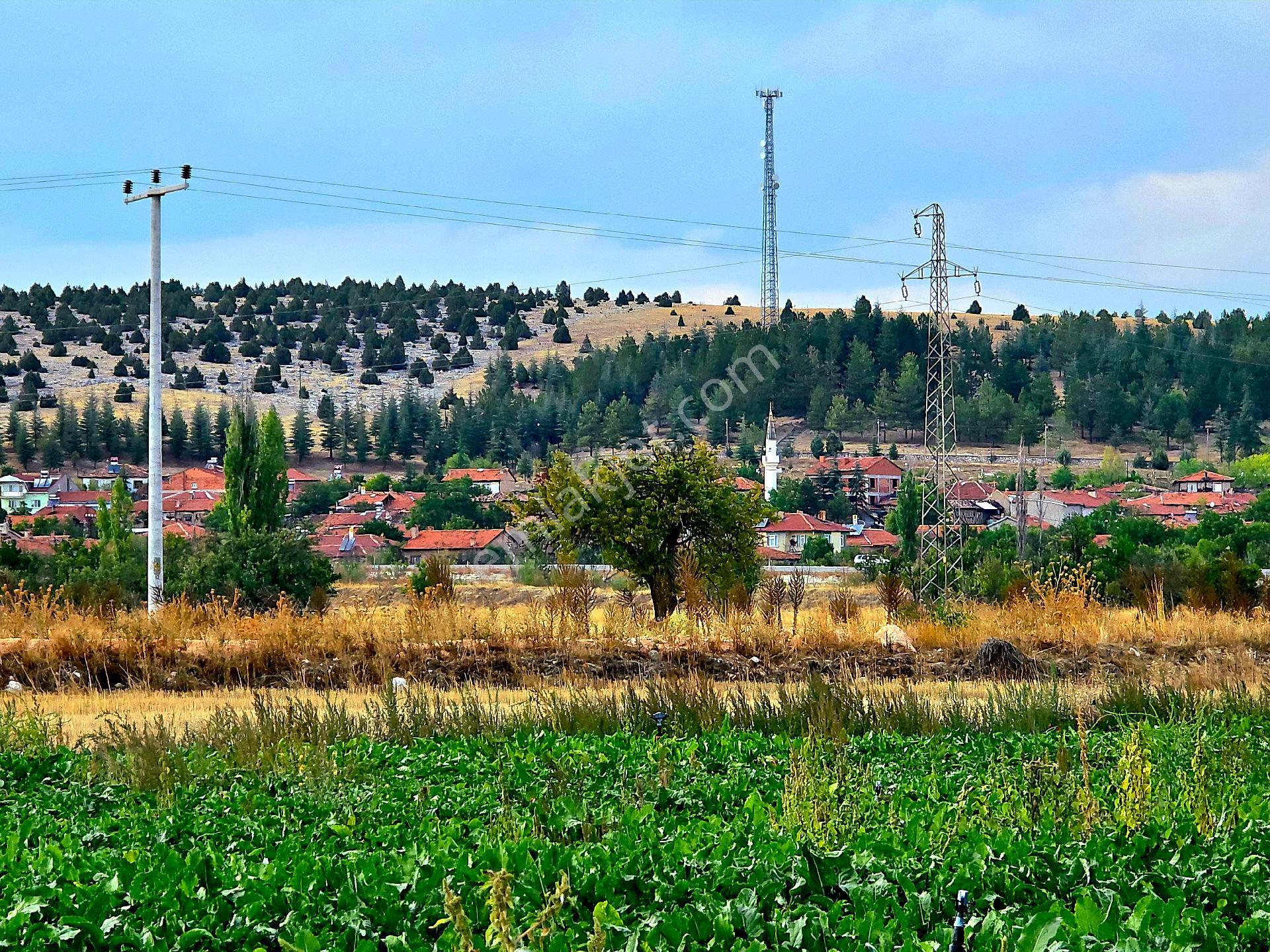 Kütahya Emet Örencik'te Köy Otoyol Elk Su Çay Yanı 1463 M² Bakımlı Tarla. Açıklamada - Görsel 30