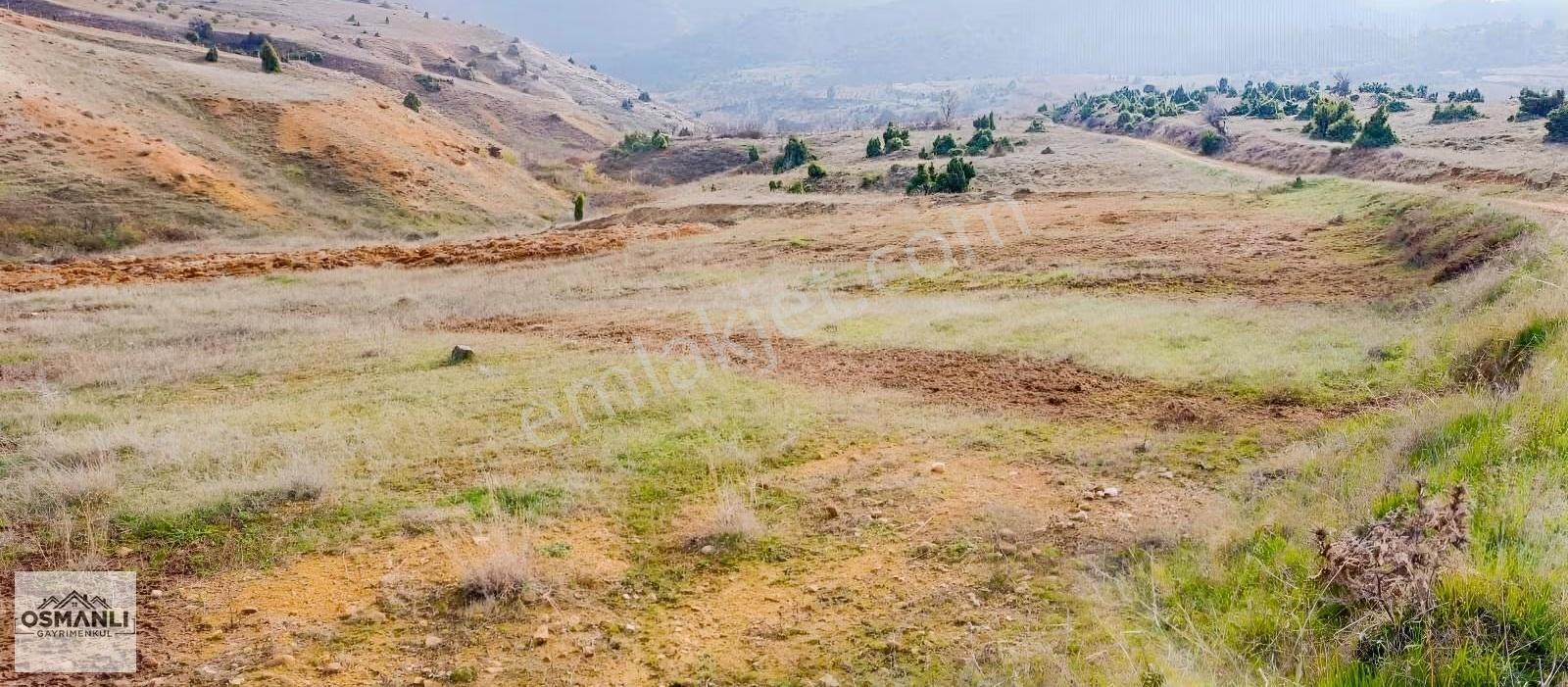 Küre Köyünün Dibinde 3.5 Dönüm,resmi Yollu Fırsat Arazi - Görsel 10