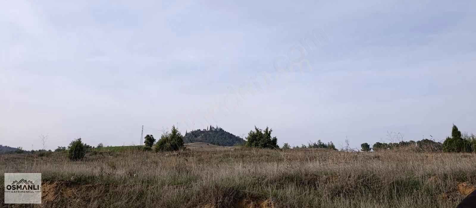 Küre Köyünün Dibinde 3.5 Dönüm,resmi Yollu Fırsat Arazi - Görsel 11