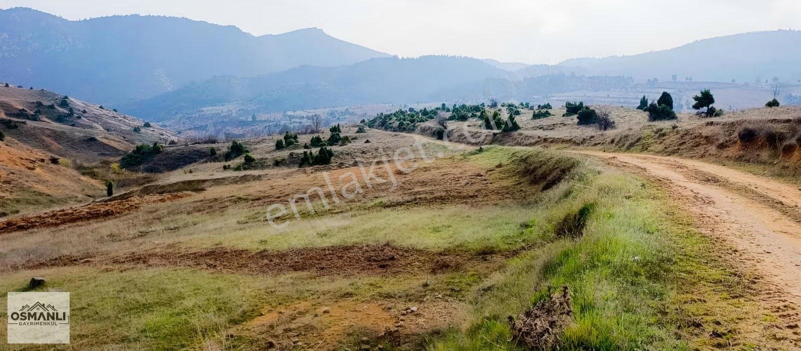 Küre Köyünün Dibinde 3.5 Dönüm,resmi Yollu Fırsat Arazi - Görsel 7