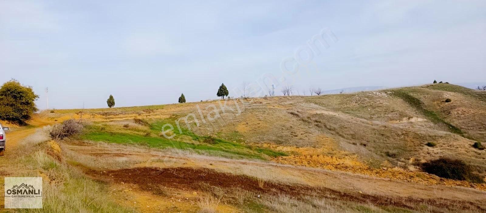 Küre Köyünün Dibinde 3.5 Dönüm,resmi Yollu Fırsat Arazi - Görsel 14