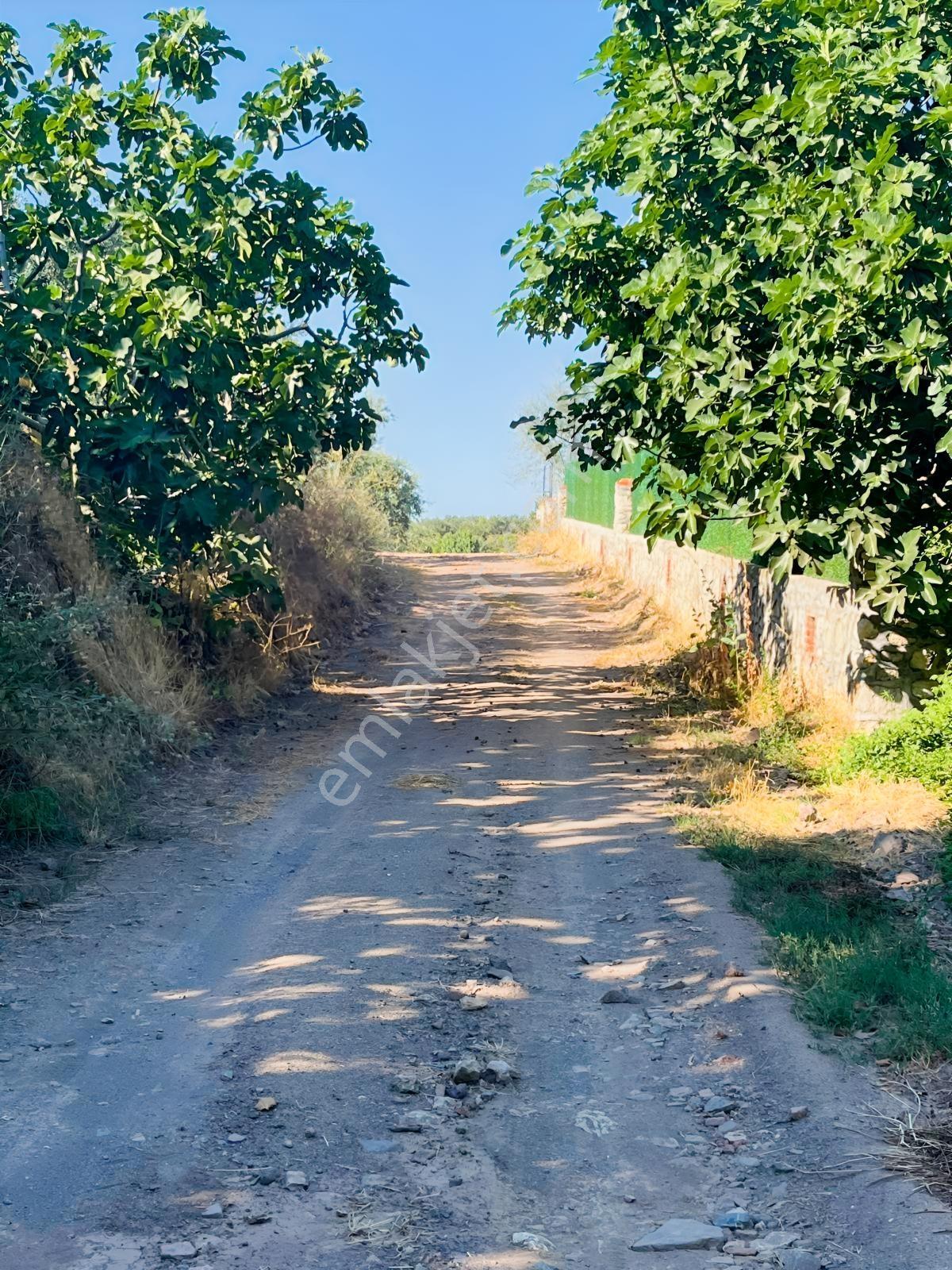 Hamide Akyüz' Den Mudanya Çepni'de Deniz Manzaralı Arazi - Görsel 8