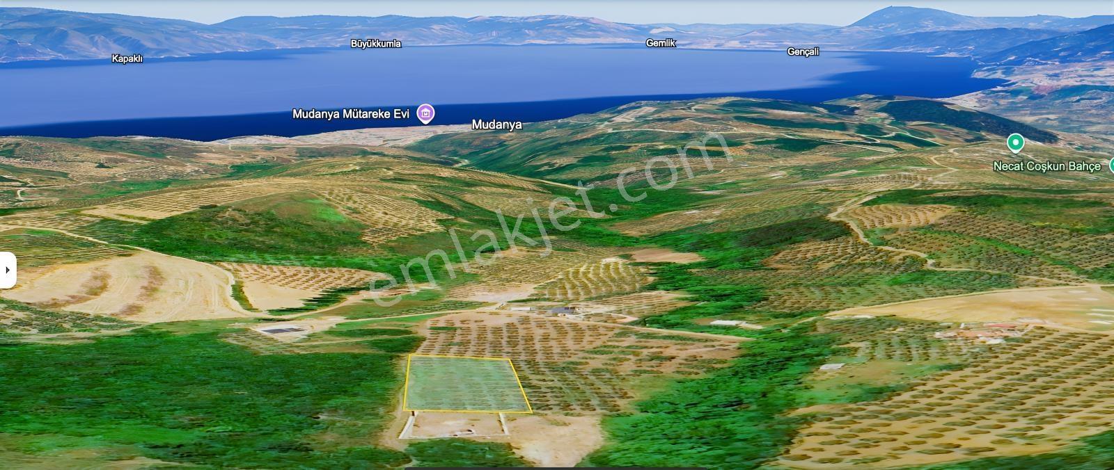Hamide Akyüz' Den Mudanya Çepni'de Deniz Manzaralı Arazi - Görsel 2