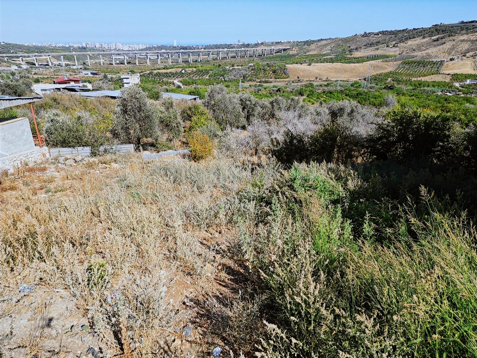 Bm"den Yenişehir Çavak"ta 478m2 İmarlı Asfalta Sıfır Arsa - Görsel 11