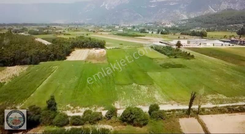 Gökova'da İçinde 4 Adet Tinyhouse Olan Tarla - Görsel 8
