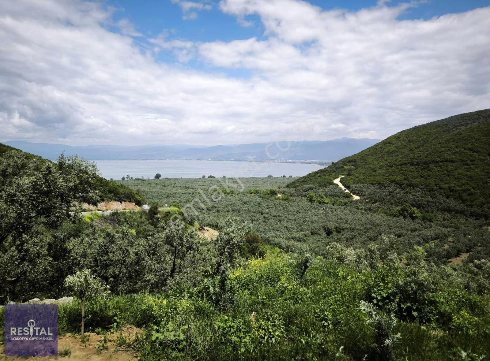 Bursa İznik Aydınlar Göl Manzaralı Yolu Var 820 M2 Satılık Tarla