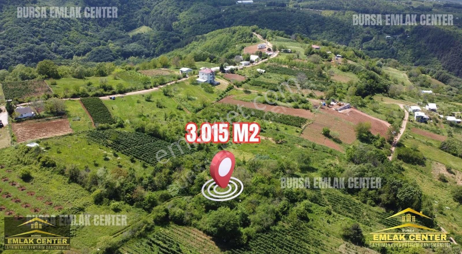 Bursa Emlak Center'dan Kestel Lütfiyede 3015 M2 Tek Tapu Tarla - Görsel 2