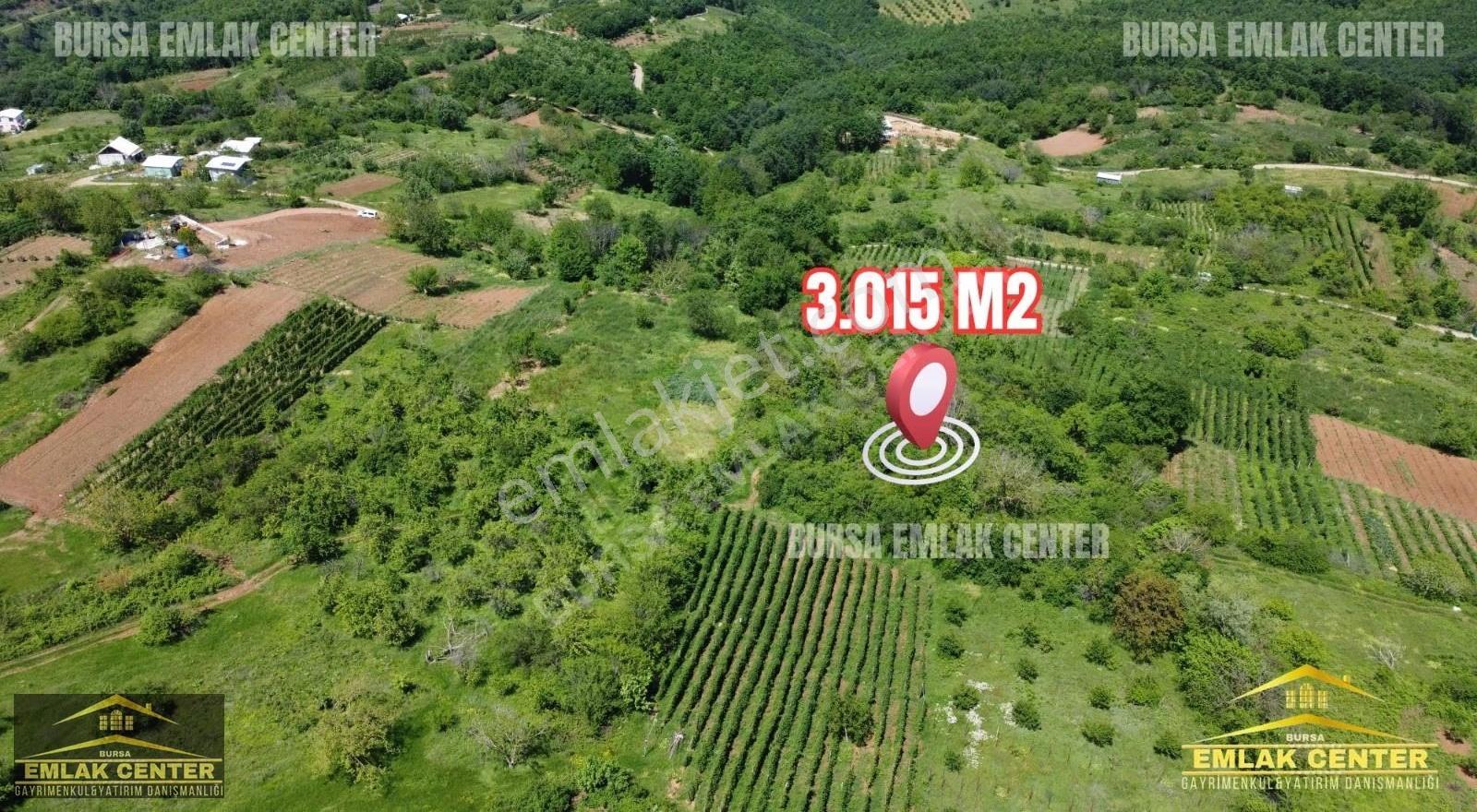 Bursa Emlak Center'dan Kestel Lütfiyede 3015 M2 Tek Tapu Tarla - Görsel 3