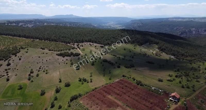 Nora'dan Tavas'ta 50 Dönüm Ormana Sınır Fırsat Tarla - Görsel 8