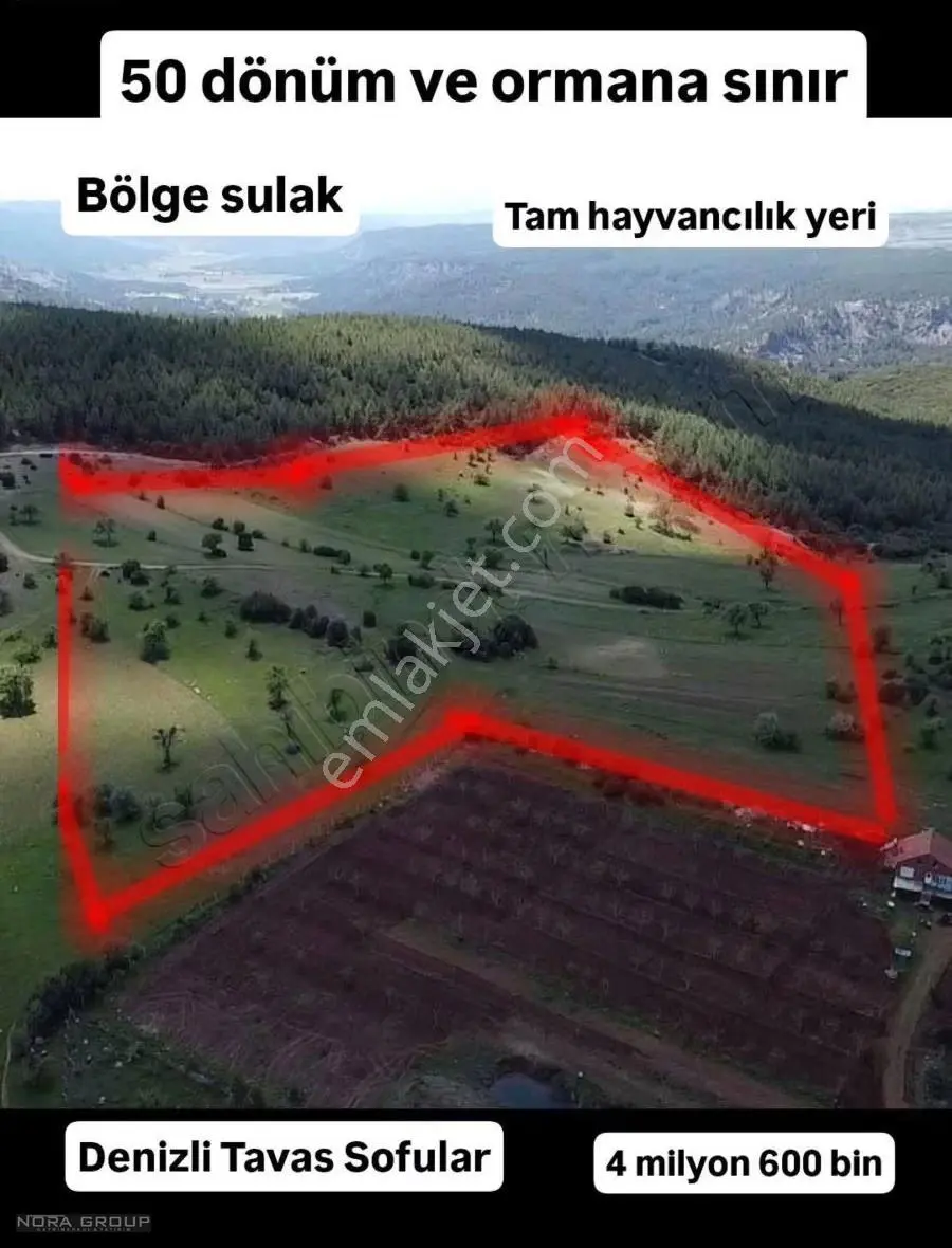 Nora'dan Tavas'ta 50 Dönüm Ormana Sınır Fırsat Tarla
