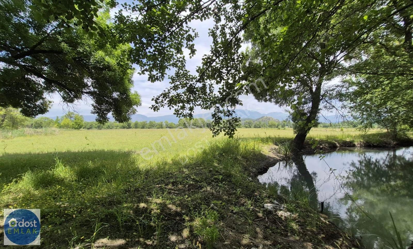Köyceğiz'de Göl Manzaralı, 10.842 M² Nar Bahçesi - Görsel 25