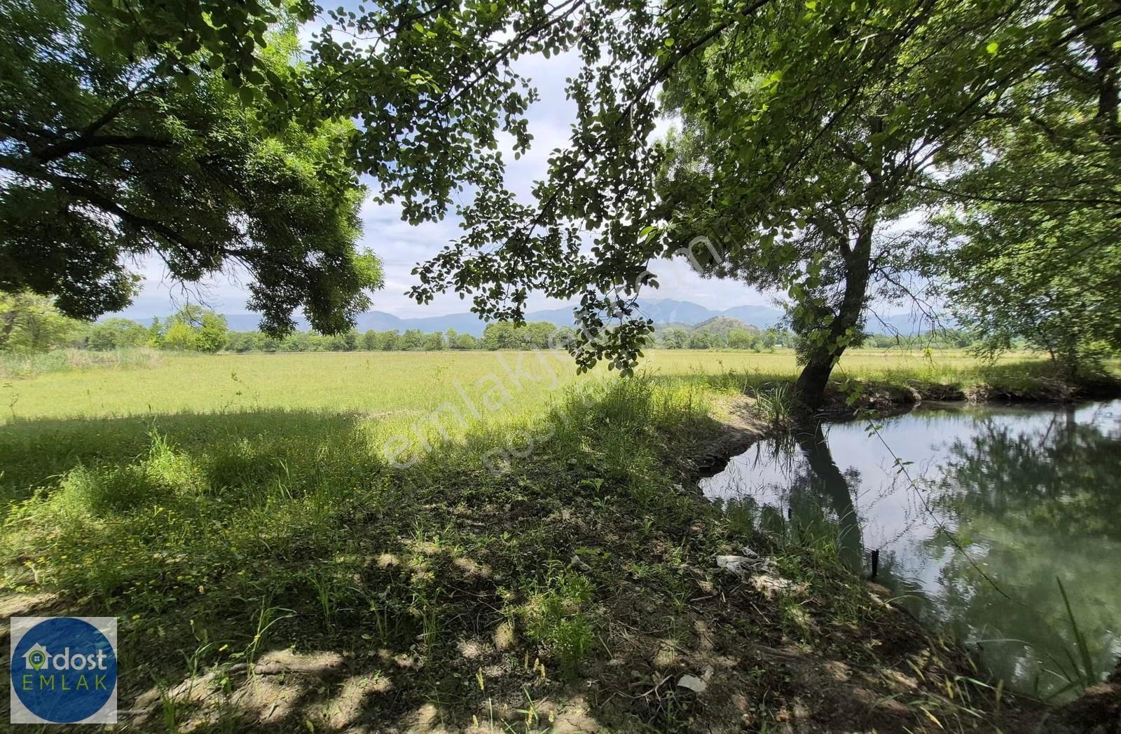 Köyceğiz'de Göl Manzaralı, 10.842 M² Nar Bahçesi - Görsel 12