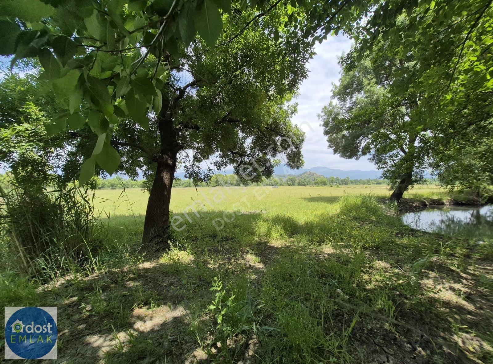 Köyceğiz'de Göl Manzaralı, 10.842 M² Nar Bahçesi - Görsel 9