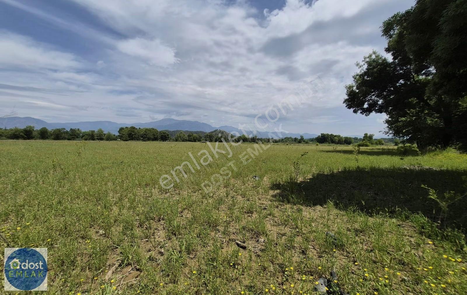 Köyceğiz'de Göl Manzaralı, 10.842 M² Nar Bahçesi - Görsel 28