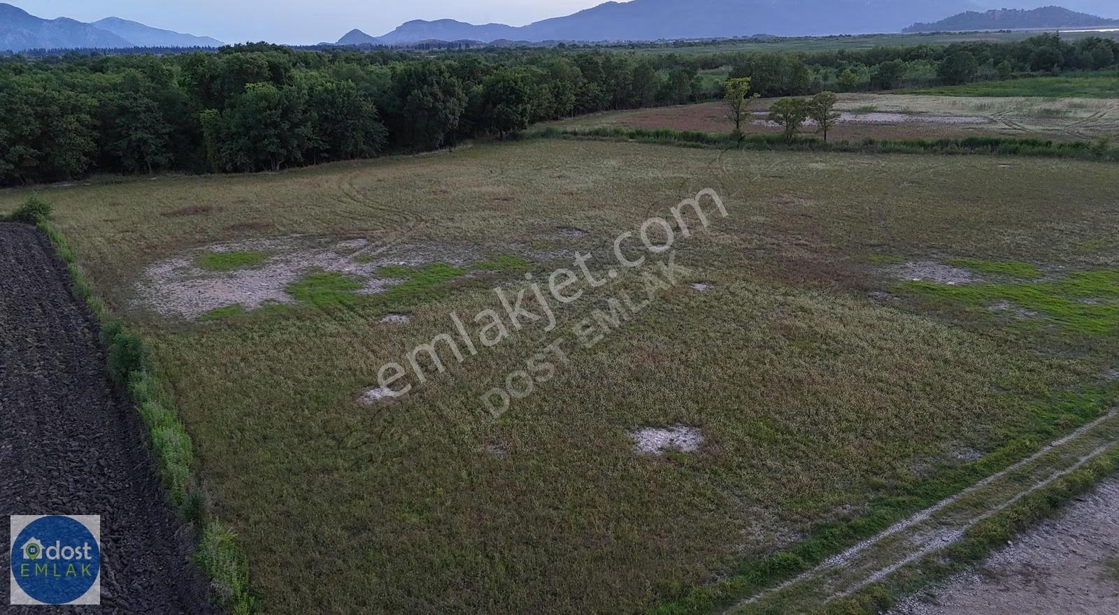 Köyceğiz'de Göl Manzaralı, 10.842 M² Nar Bahçesi - Görsel 18