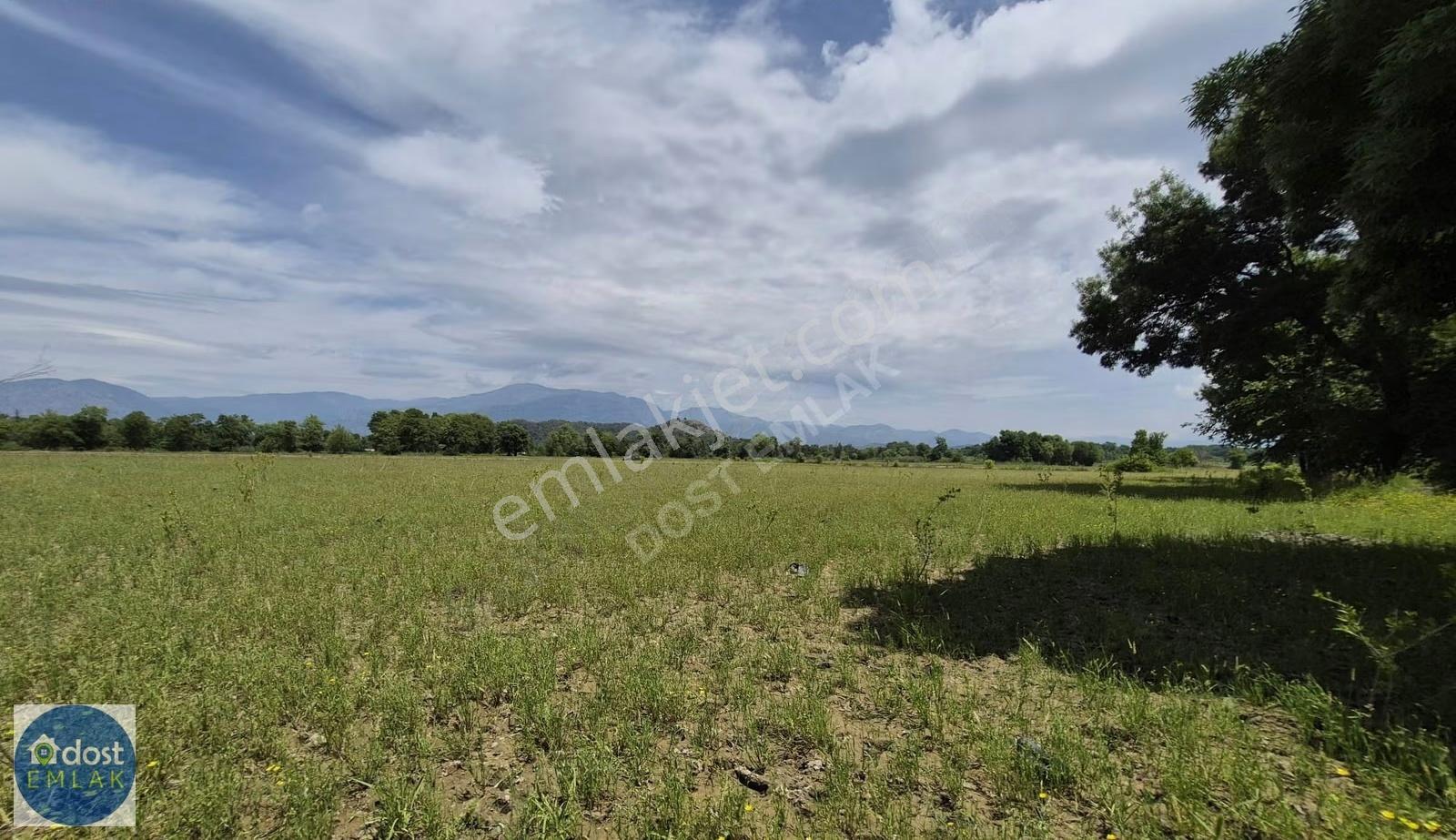 Köyceğiz'de Göl Manzaralı, 10.842 M² Nar Bahçesi - Görsel 26