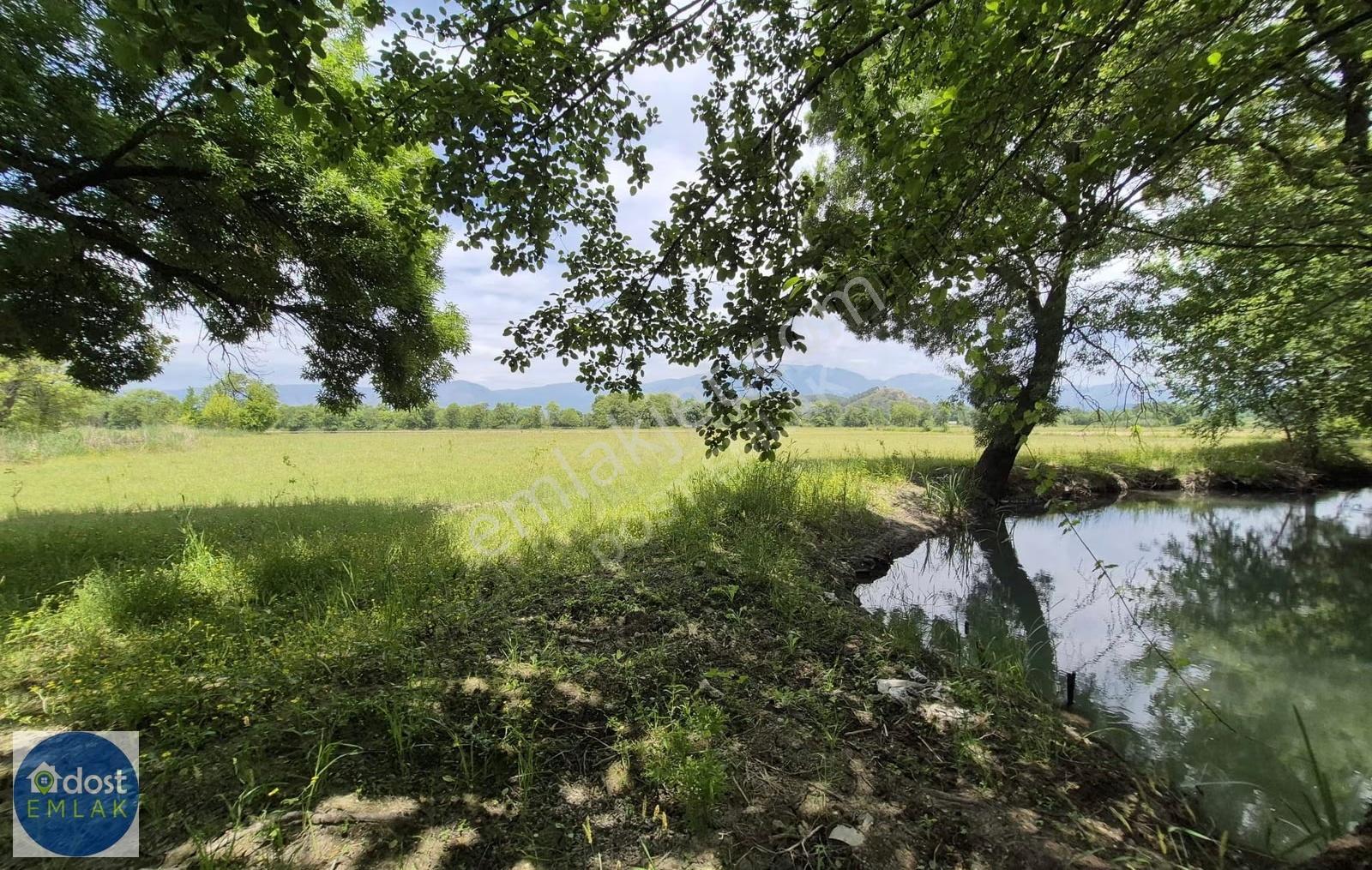 Köyceğiz'de Göl Manzaralı, 10.842 M² Nar Bahçesi