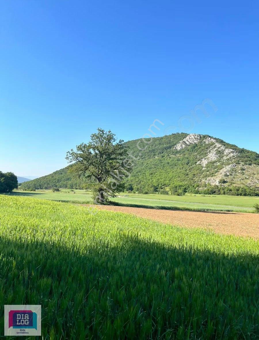 Yenişehirde Satılık 9.116 M2 Arazi - Görsel 14