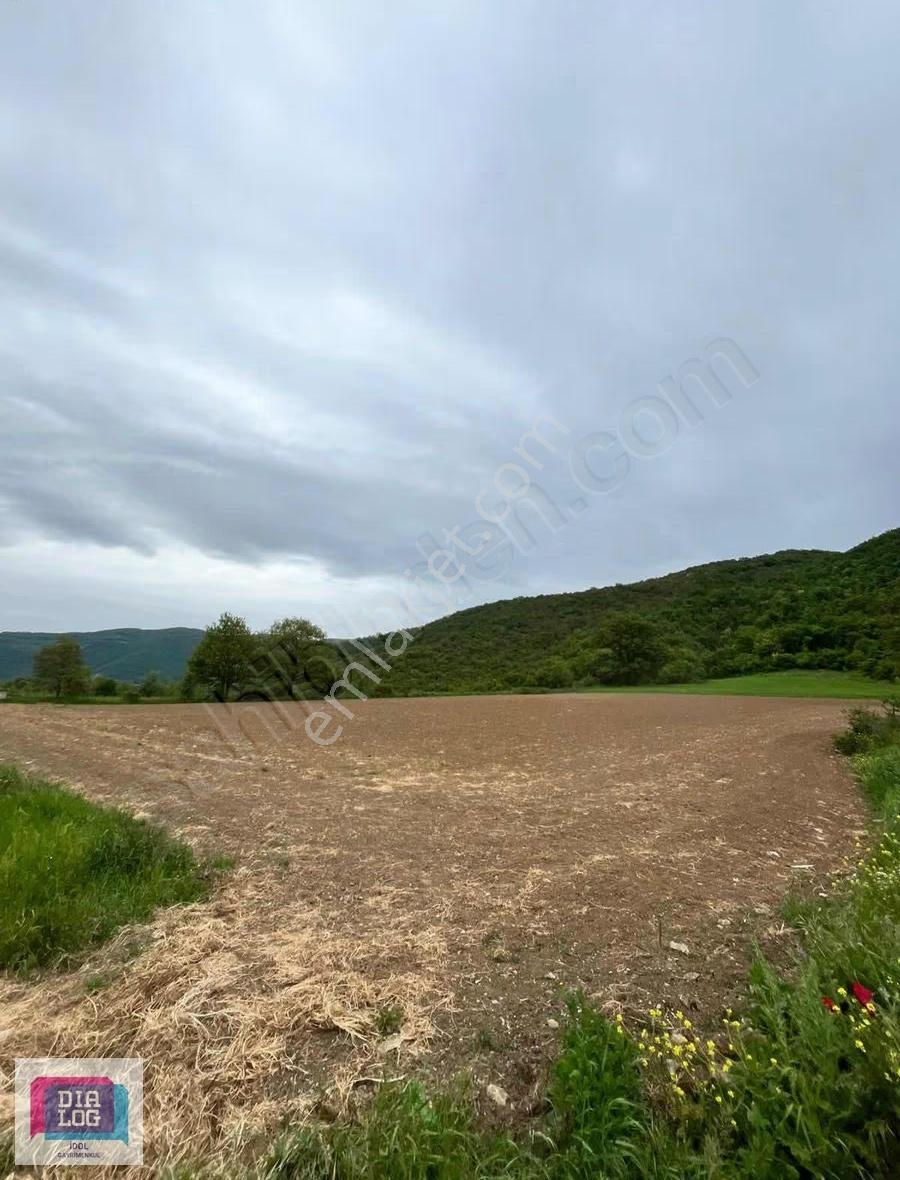 Yenişehirde Satılık 9.116 M2 Arazi - Görsel 10