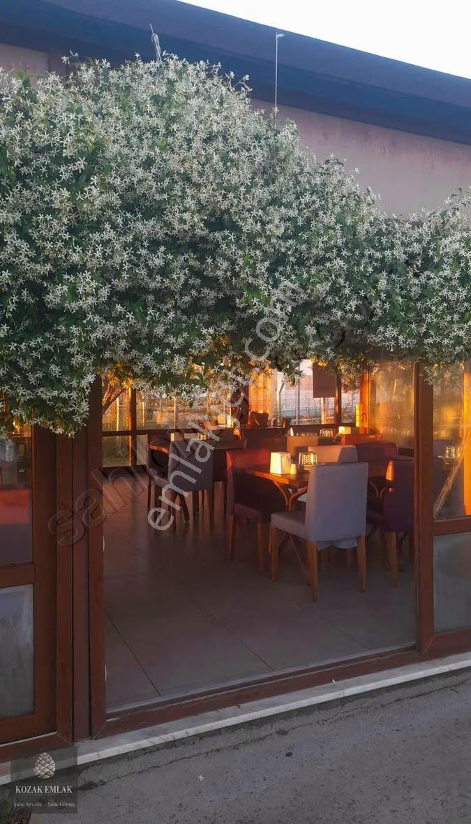 Ayvalıkta Doğayla İç İçe Ticari İşletme Fırsatı - Görsel 18