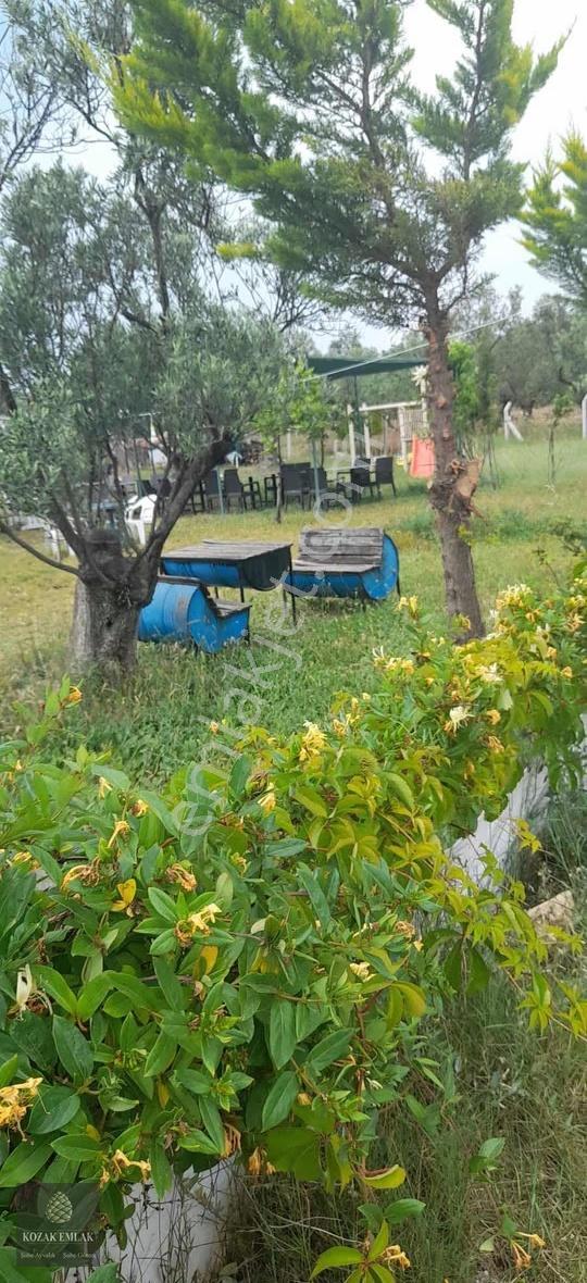 Ayvalıkta Doğayla İç İçe Ticari İşletme Fırsatı - Görsel 2