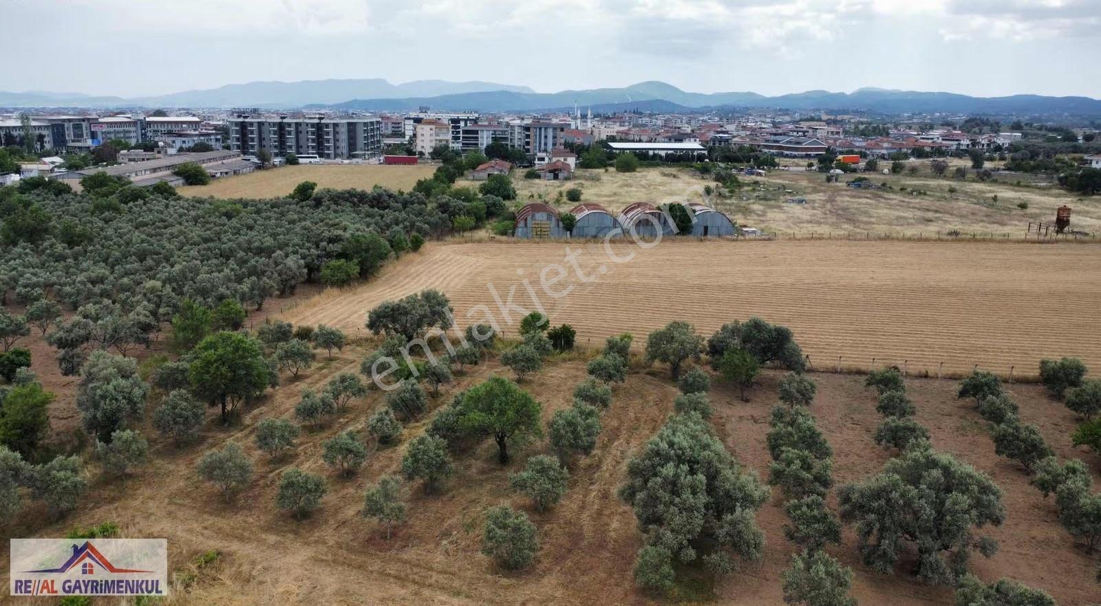Real'den Menderes İmar Sınırında 1720 M2 Hisse Tapulu - Görsel 11