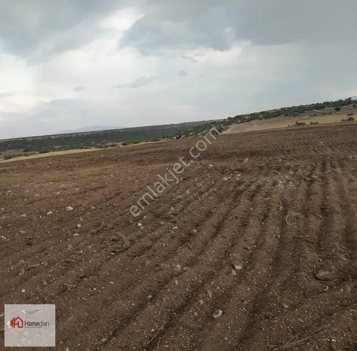 Hanedan Dan Güneydere 32400 M2 Müstakil Tarla - Görsel 3