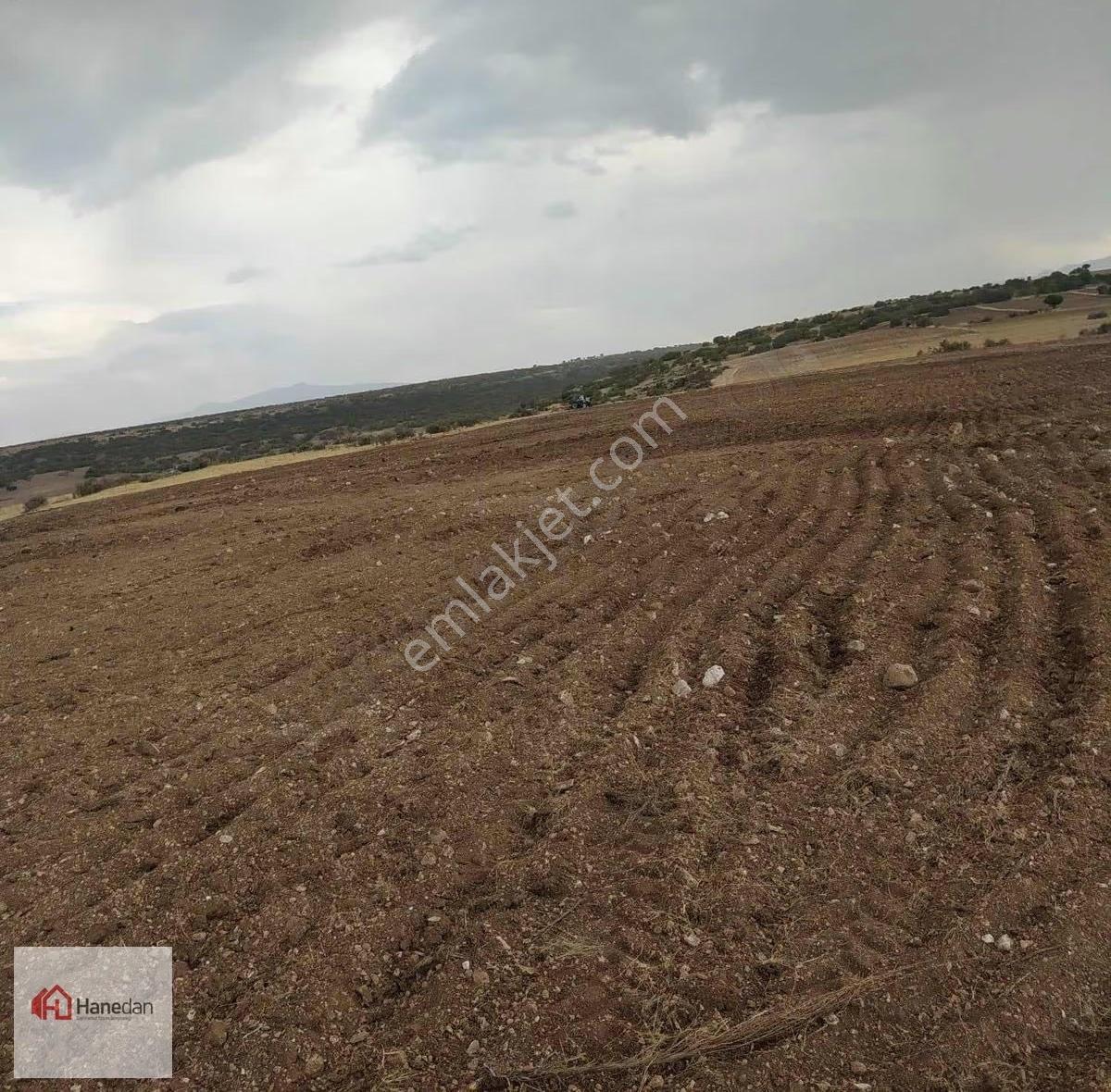 Hanedan Dan Güneydere 32400 M2 Müstakil Tarla - Görsel 4
