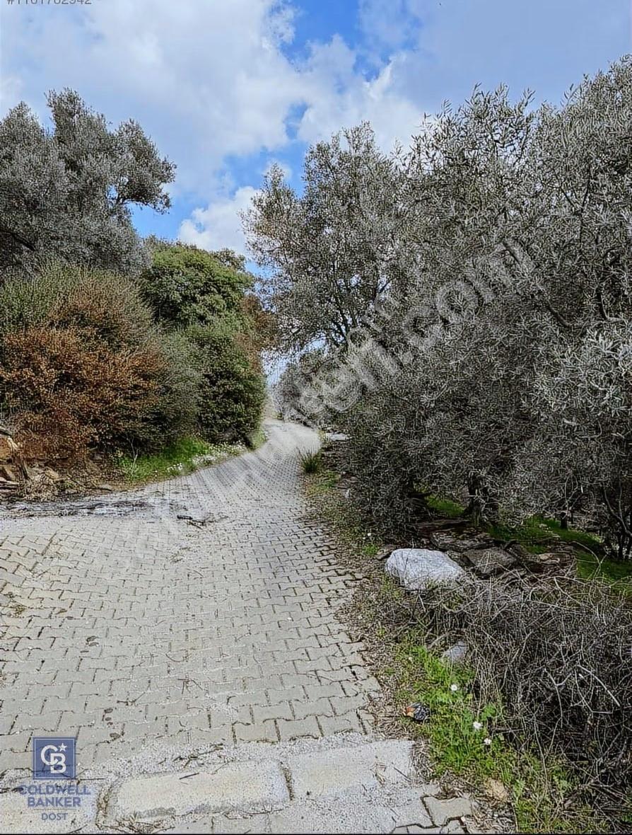 İzmir Bayındır Yola Cepheli Fırsat İmarlı Satılık Arsa - Görsel 3