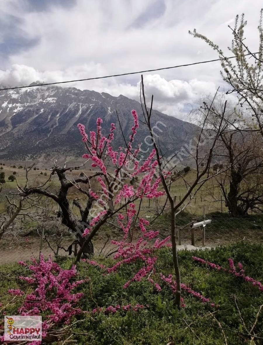 Pozantı Kamışlı Yazicak Ev Ve Arsa 2213 M2 - Görsel 14